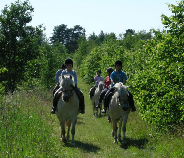 Rekreation og friluftsliv