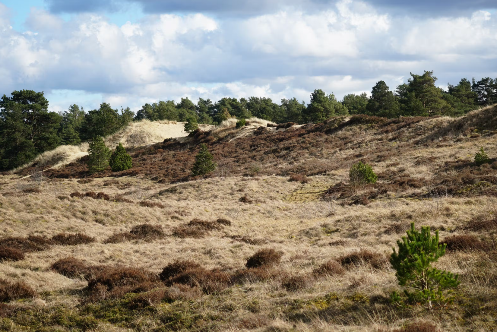 Comevisit.dk - Kirsten Madsen